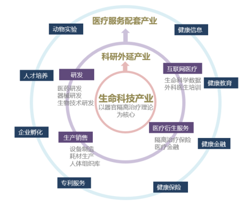 骨科技术研发选购指南：打造未来医疗的坚实基石