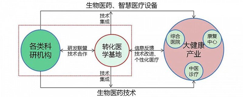 骨科技术的创新之旅：研发引领未来